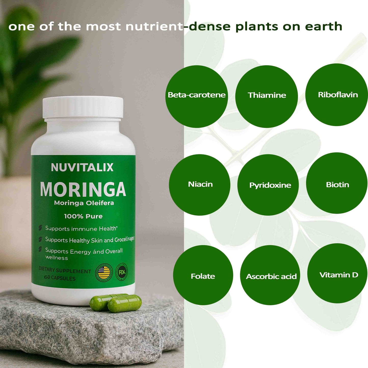 Moringa Pure Capsules | Organic Moringa Leaf Extract Supplement