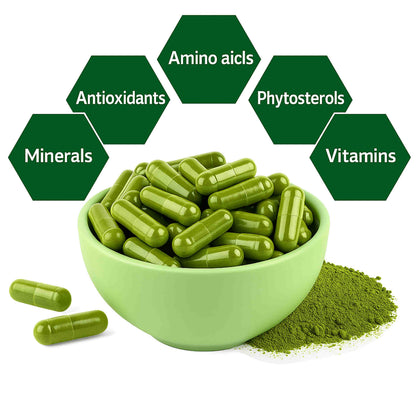 Moringa Pure Capsules | Organic Moringa Leaf Extract Supplement